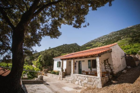 Holiday Home Potocinarka